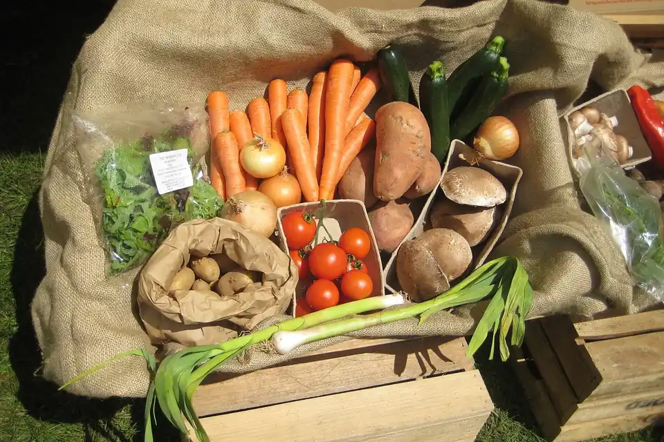 Des caisses de légumes biologiques variés, carottes, salades, courges et oignons, alignées sur un étal